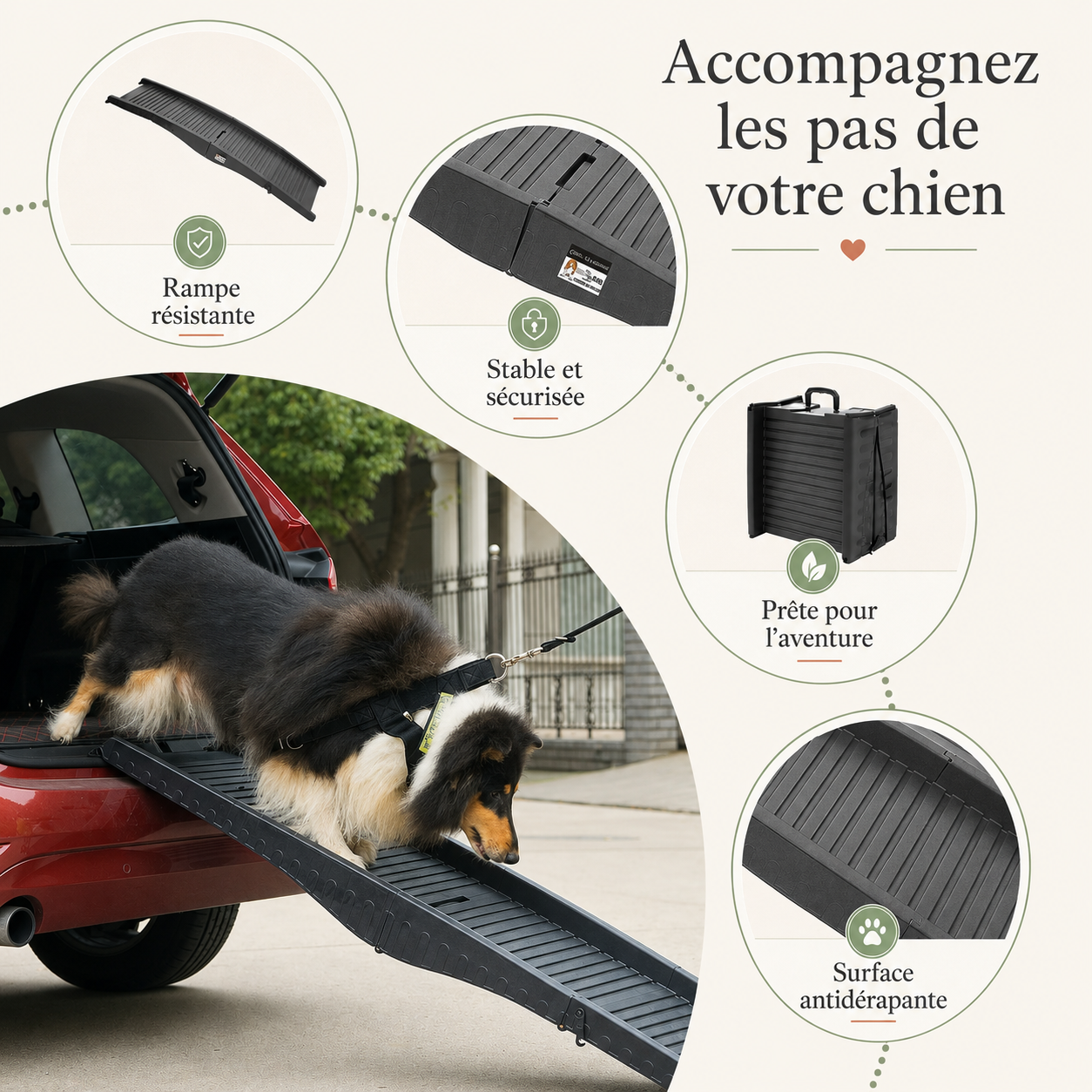 Rampe Mobilité Coffre | Grands Chiens & Chiens Lourds